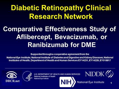 Diabetic Retinopathy Clinical Research Network