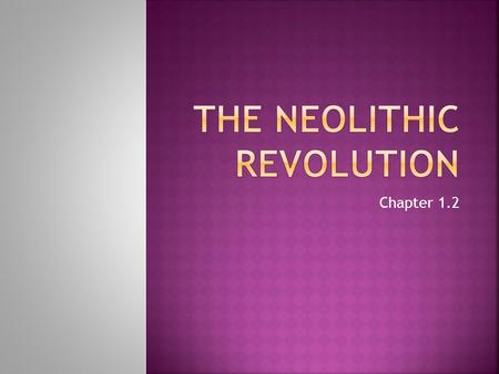 The Neolithic Revolution