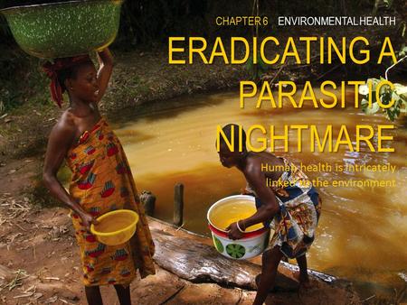 CHAPTER 6ENVIRONMENTAL HEALTH ERADICATING A PARASITIC NIGHTMARE CHAPTER 6 ENVIRONMENTAL HEALTH ERADICATING A PARASITIC NIGHTMARE Human health is intricately.