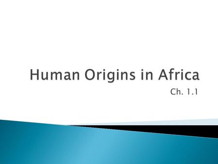 Ch. 1.1.  Archeologists and scientists investigate the lives of early humans without access to written records  Archeologists learn about early humans.