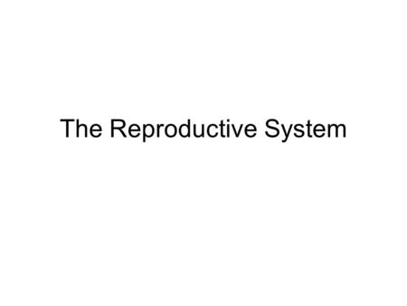 The Reproductive System