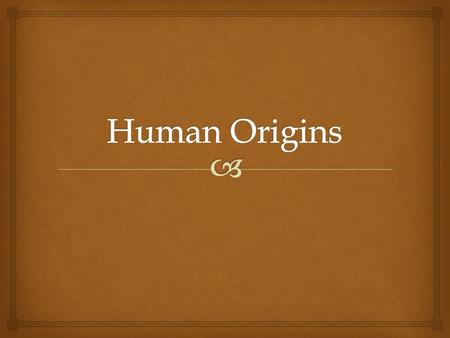 Human Origins.