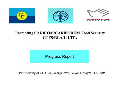 19 th Meeting of COTED, Georgetown, Guyana, May 9 - 12, 2005 Promoting CARICOM/CARIFORUM Food Security GTFS/RLA/141/ITA Progress Report.