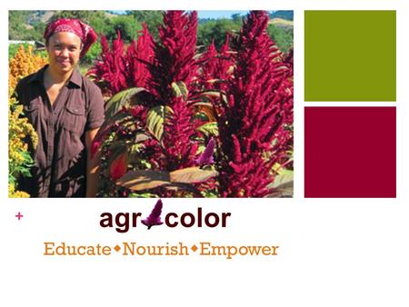 + agr color Educate  Nourish  Empower. + Why Bolivia? Poverty Food Crisis Malnourishment Why Amaranth? Locally Available Nutrients and Vitamins Adaptability.