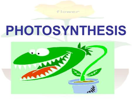 PHOTOSYNTHESIS.