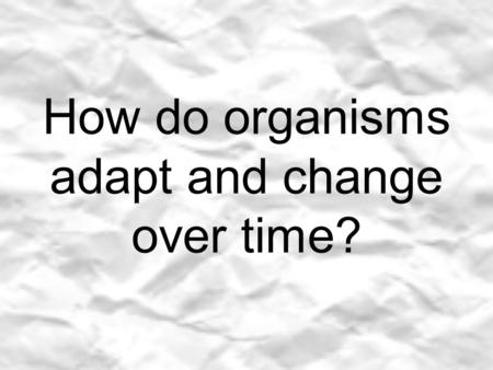 How do organisms adapt and change over time? What makes this flounder fish so unusual? And, how did it get this way?