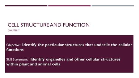 Cell Structure and Function