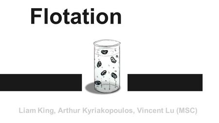 Flotation Liam King, Arthur Kyriakopoulos, Vincent Lu (MSC)