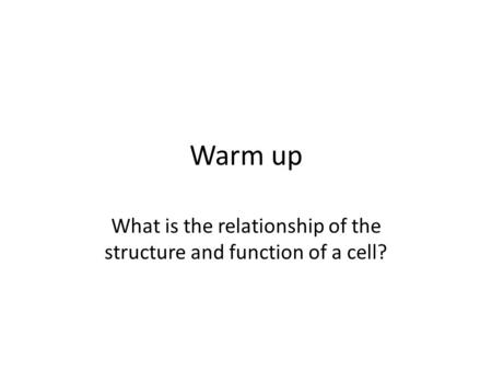 Warm up What is the relationship of the structure and function of a cell?