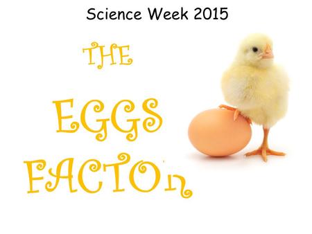 Science Week 2015 THE EGGS FACTOR. Did you know...? 5 million different animal species on earth. Over 50% are insects. Less than 0.5% are mammals. 97.