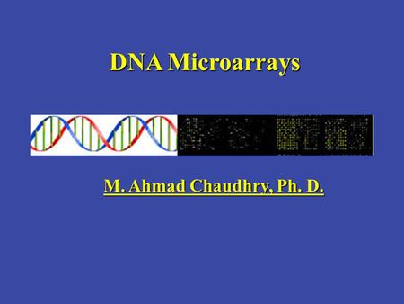 DNA Microarrays M. Ahmad Chaudhry, Ph. D..