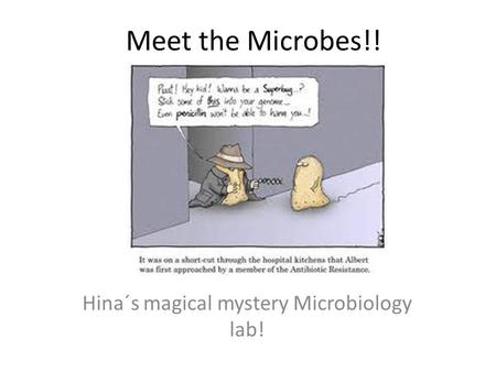 Meet the Microbes!! Hina´s magical mystery Microbiology lab!