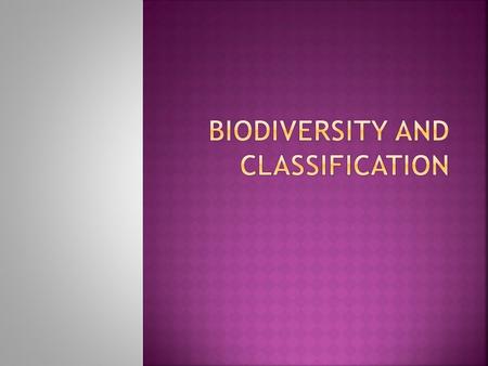 Biodiversity and Classification