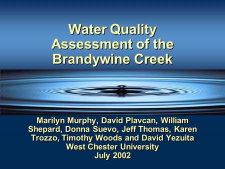 Marilyn Murphy, David Plavcan, William Shepard, Donna Suevo, Jeff Thomas, Karen Trozzo, Timothy Woods and David Yezuita West Chester University July 2002.