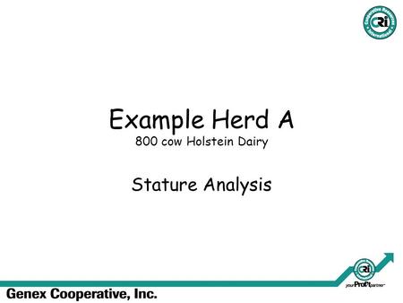 Example Herd A 800 cow Holstein Dairy Stature Analysis.