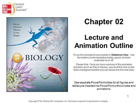 Chapter 02 Lecture and Animation Outline