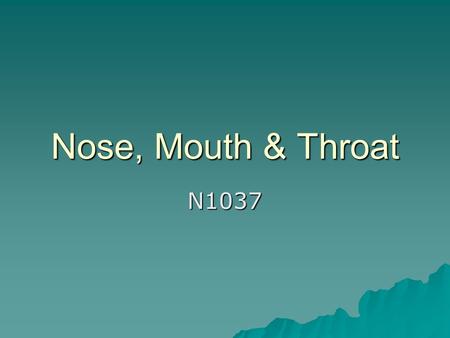 Nose, Mouth & Throat N1037.