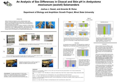 Joshua J. Sweet, and Amanda M. Roise Department of Biology and Amphibian Growth Project, Minot State University An Analysis of Sex Differences in Cloacal.