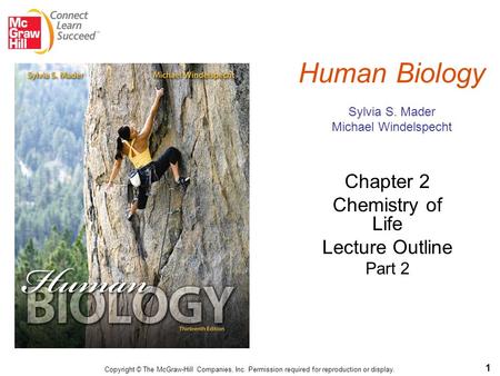 1 Copyright © The McGraw-Hill Companies, Inc. Permission required for reproduction or display. Chapter 2 Chemistry of Life Lecture Outline Part 2 Human.