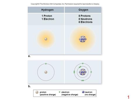 Neutron (no charge) Hydrogen 1 Proton 1 Electron Oxygen 8 Protons 8 Neutrons 8 Electrons a. b. proton (positive charge) electron (negative charge) Copyright.