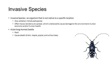 Invasive Species Invasive Species: an organism that is not native to a specific location Also called an introduced species Often have a tendency to spread,