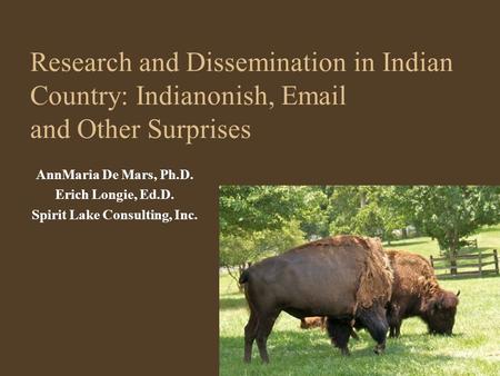 Research and Dissemination in Indian Country: Indianonish, Email and Other Surprises AnnMaria De Mars, Ph.D. Erich Longie, Ed.D. Spirit Lake Consulting,