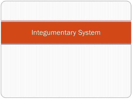 Integumentary System. Functions of Integumentary System Integumentary System 4 Main Functions Contains skin, hair, and nails 1. Protection Keeps water.