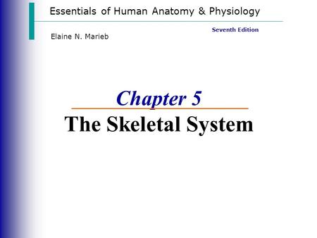 Chapter 5 The Skeletal System