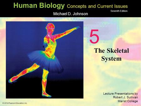 5 The Skeletal System 1.