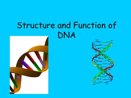 Structure and Function of DNA