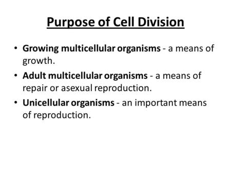 Purpose of Cell Division