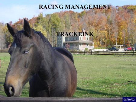 RACING MANAGEMENT 08/30/02 TRACKLINK. GENERAL PURPOSE 1/2 Management of all the Racing information Runners, Horses, Jockeys / Driver, Odds, Report, Photo-finish.