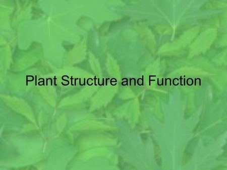 Plant Structure and Function