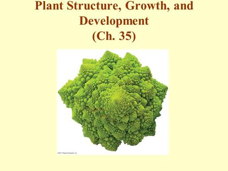 Plant Structure, Growth, and Development (Ch. 35)