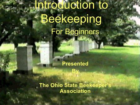 Introduction to Beekeeping For Beginners Presented By The Ohio State Beekeeper’s Association.