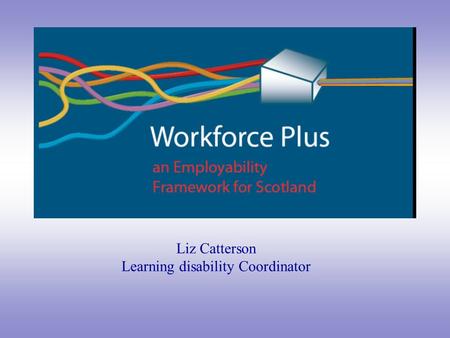 Liz Catterson Learning disability Coordinator. Why do we need a Framework?  Record levels of employment  Massive levels of investment BUT  Clusters.