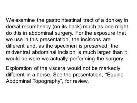 We examine the gastrointestinal tract of a donkey in dorsal recumbency (on its back) much as one might do this in abdominal surgery. For the exposure that.