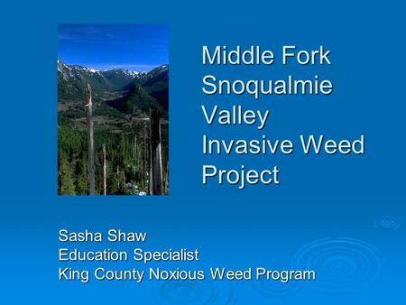 Middle Fork Snoqualmie Valley Invasive Weed Project Sasha Shaw Education Specialist King County Noxious Weed Program.