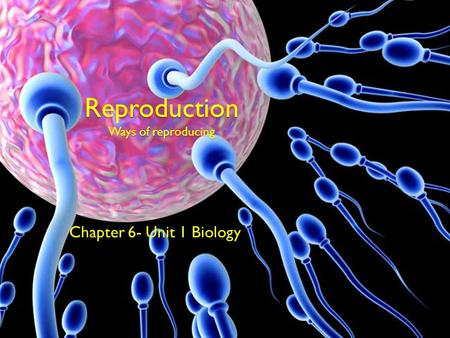 Reproduction Ways of reproducing