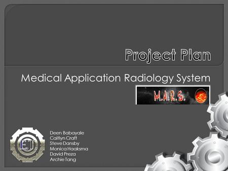 Medical Application Radiology System Deen Babayale Caitlyn Craft Steve Dansby Monica Haaksma David Preza Archie Tang.