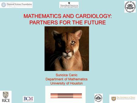 MATHEMATICS AND CARDIOLOGY: PARTNERS FOR THE FUTURE Suncica Canic Department of Mathematics University of Houston.