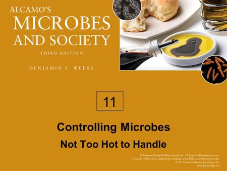 Controlling Microbes Not Too Hot to Handle 11. Looking Ahead On completing this chapter, you should be able to: Summarize factors that influence the effectiveness.