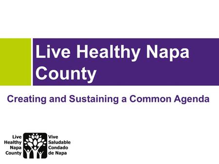 Live Healthy Napa County Creating and Sustaining a Common Agenda.