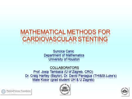 CARDIOVASCULAR STENTING