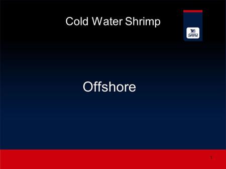 Cold Water Shrimp Offshore 1. Shell on shimp 2 Shrimp size Development in size: 2005 - ave: 100 pcs/kg 2010 – ave: 100 pcs/kg 2012 – ave: 140 pcs/kg.