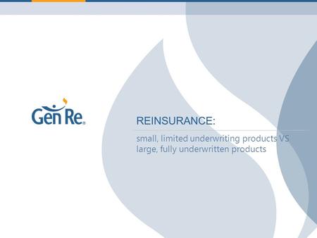 REINSURANCE: small, limited underwriting products VS large, fully underwritten products.