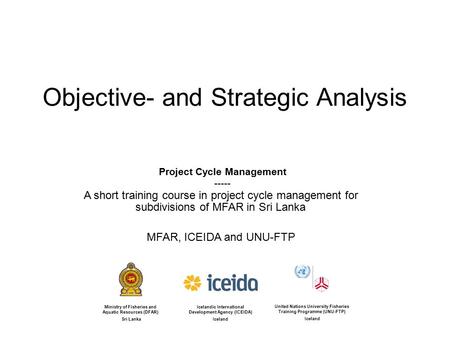 Objective- and Strategic Analysis