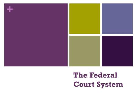 The Federal Court System