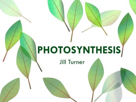 Photosynthesis Jill Turner.