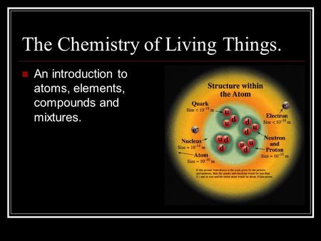 The Chemistry of Living Things.